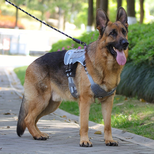Dog Tactical Harness