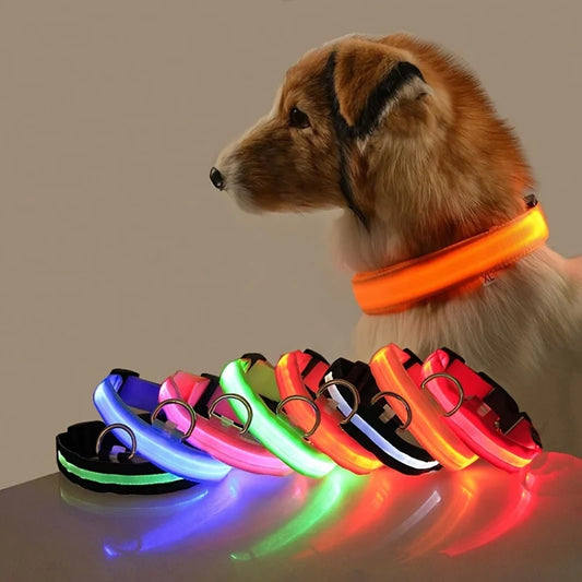 Neon LED Night Safety For Pets